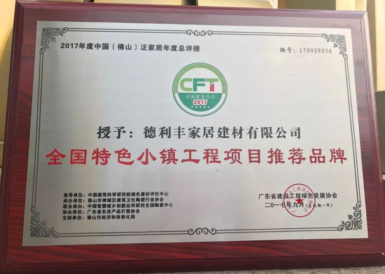 德利豐家居榮獲‘全國特色小鎮工程項目推薦品(圖2)