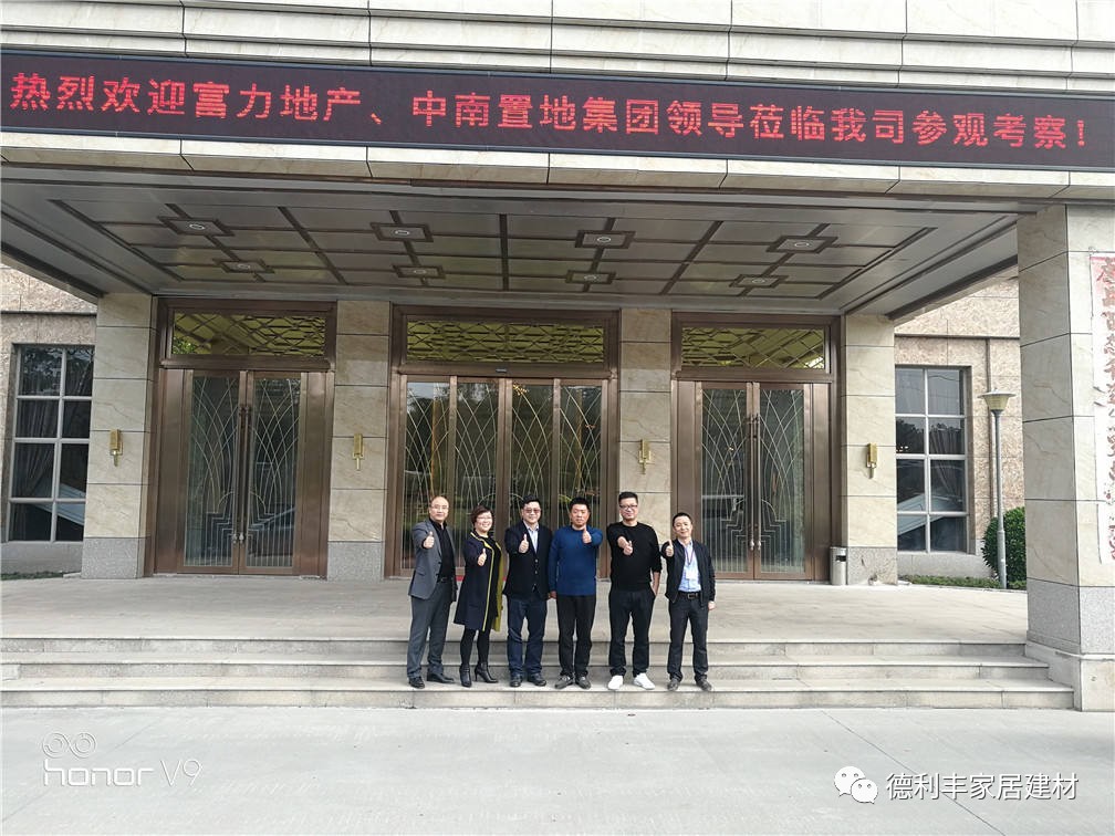 【重磅】百強房企：富力地產、中南置地一行領(圖2)